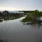 Irrigation pond on left, poly houses just above the water level.