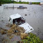 Here you can see how deep it is in our field all the way back to the bush.