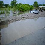 Our loading dock back-filling via the drain from the ditch.